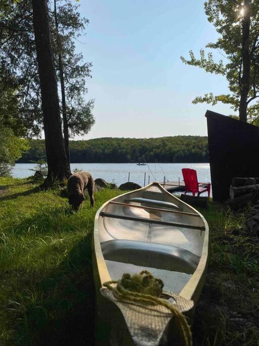 Dawson Loop 3br Lakefront Style Holiday home Maynooth